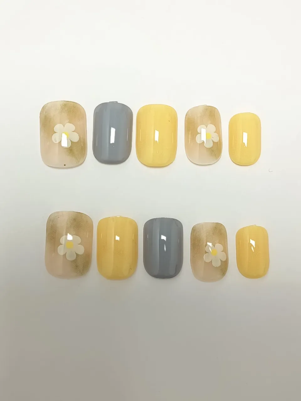 雛菊玳瑁・圓甲